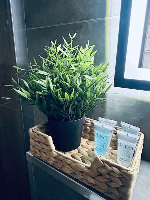Apartament Stary Szczecin Exteriör bild