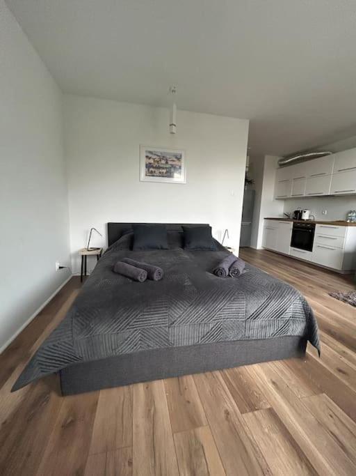 Apartament Stary Szczecin Exteriör bild